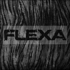 Flexa - Park Up (Grafias Remix)