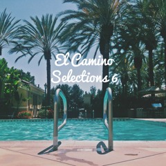 AYES COLD x EL CAMINO TRAVEL : Selections Continued // 6