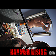 Danimal Rising