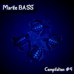 JEAN - PAUL DUB - Mélodiquement Vôtre extracted from compilation Marée Bass 4