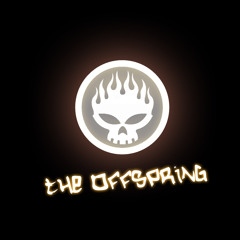 The Offspring - The Kids Arent Alright Guitar Cover