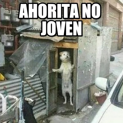 Ahorita No Joven ¡¡ Que No Ve Que Estoy Tirando Melbourne