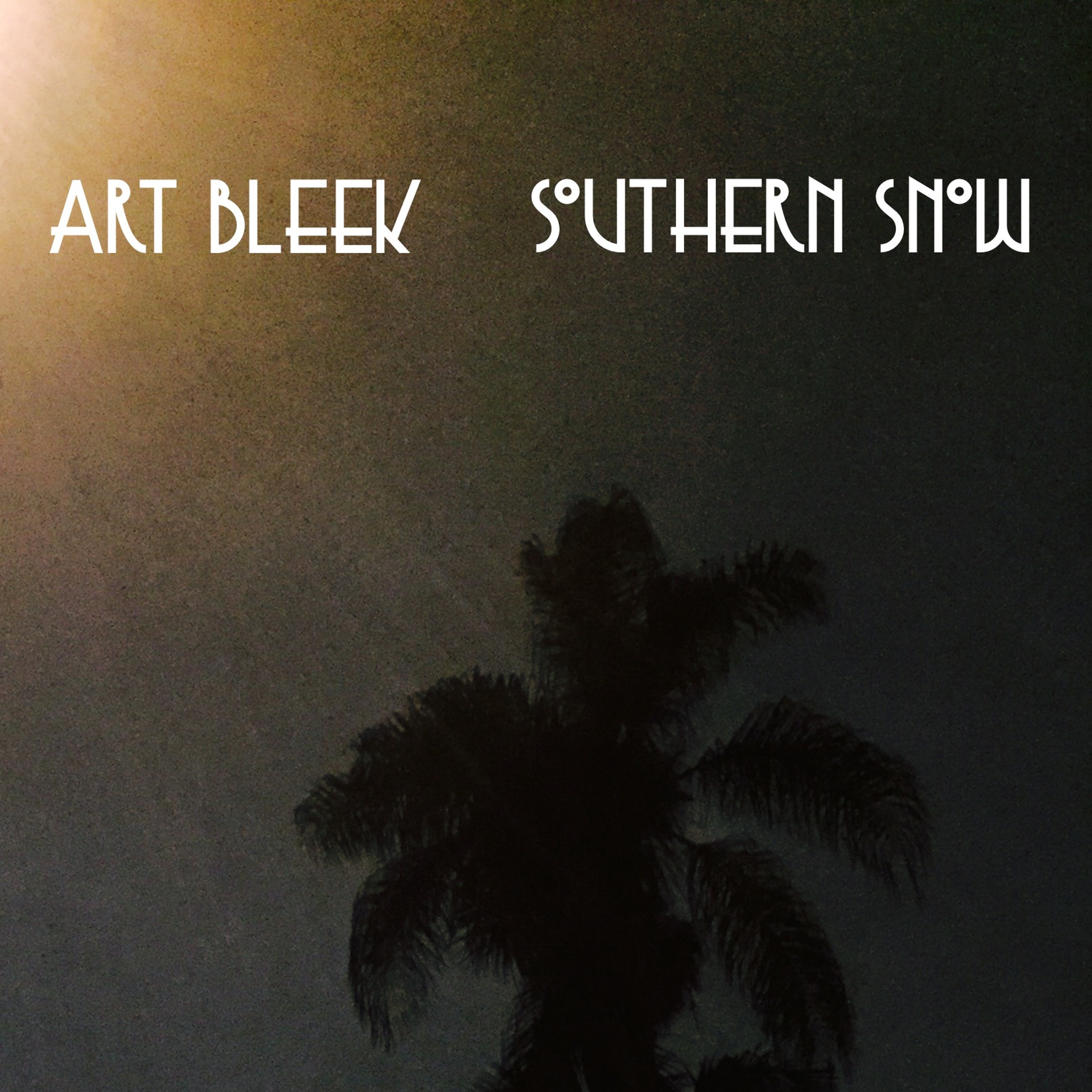 Art Bleek