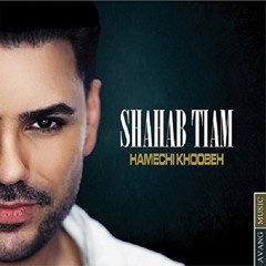 Shahab Tiam - Hamechi Khobeh [www.Jigiliz.com]