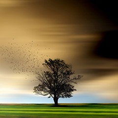 Do Not Be A Humazatul Lumazah! By Abu ‘Abdis Salaam Siddiq Al Juyaanee