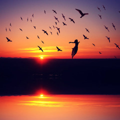 Do You Feel Like Gliding With Me ©