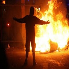 Fox Man - Fox À Crame