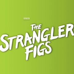 Drums - Rock/Punk, The Strangler Figs 2015