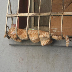 Evgeny Grinko - Faulkner's Sleep