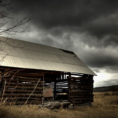 Are you ready for the country (Cover)