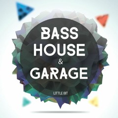 Bass House and Garage Summer Mix