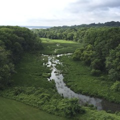 west Dyke Marsh Predawn Morning Ambience