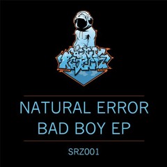 Natural Error - Party