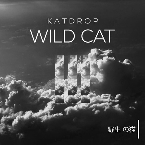 Katdrop - Wild Cat [EDM.com Exclusive]
