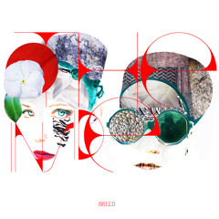 The Inside - B.R.E.E.D
