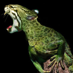 Sonorous By PowTron (DI Radio) - June 2015 (6/26/15)