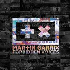 Martin Garrix & Jake Liedo Vs. Galantis - Forbidden Voices Vs. Runaway Ultra Mashup