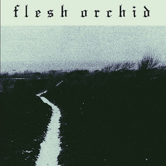 The Dream Was My Future