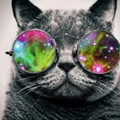 En El Efecto Calle je