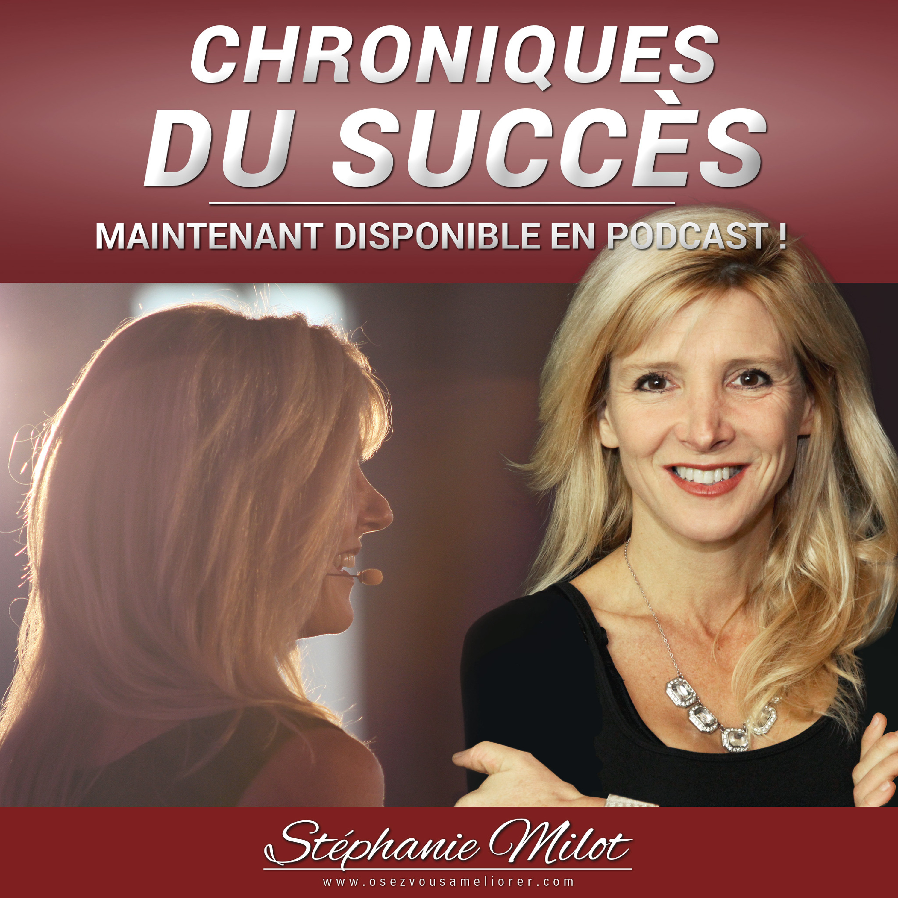 Les Chroniques du Succès