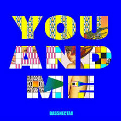 Bassnectar - You And Me (ft. W. Darling)