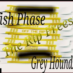 OFF THE RIP..Remix-Catfish Phase X Grey Houndz..Twmw