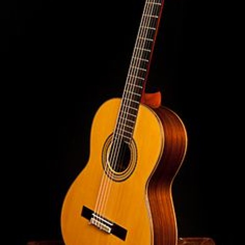 Matteo Carcassi Etude N° 14