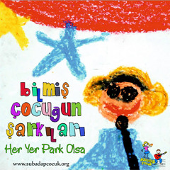 Bomba Yapan Bay Bilgin