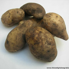 Viceversa
