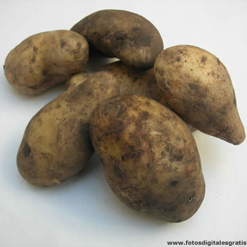 Viceversa
