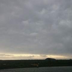 Birds are my biggest fans.