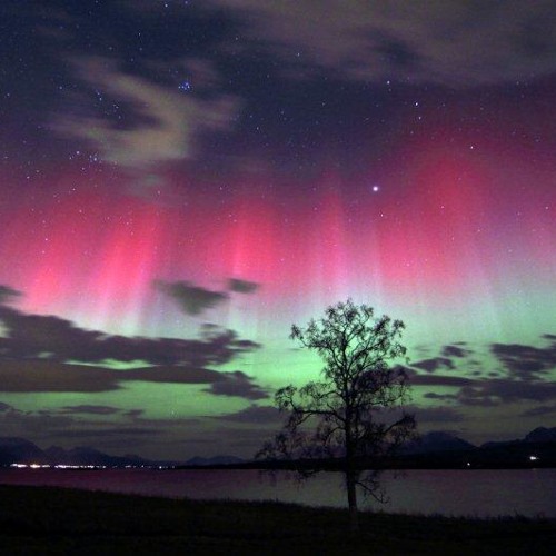 B - Flooy - Aurora (Original Mix)