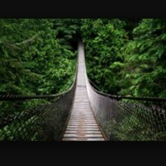 Money Tree (Freestyle)