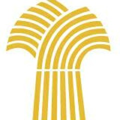 Gelora Cerva Imperator