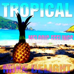 MIKE DELIGHT - TROPICAL MELODIC FEELINGS (Tropical House Mixtape)inkl. Tracklist
