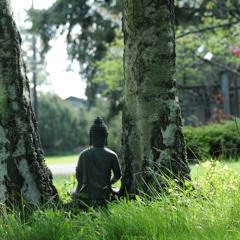 Zen Meditation 6Hz Theta Isochronic Tones ~ Deep Altered Consciousness