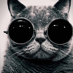 Contagion - Blind Side Big Beat Breaks Mix