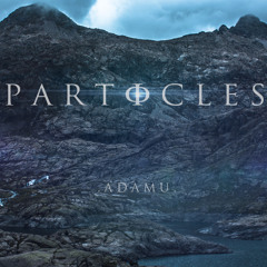 PARTICLES - ADAMU