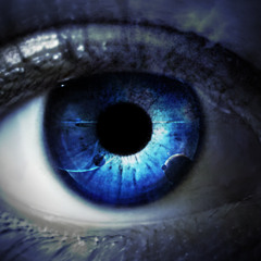 Blink And You'll Miss The Universe