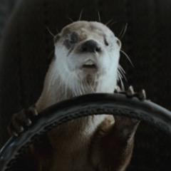 Musiques Electroniques | Mimiche Selector #15