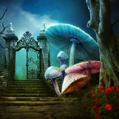 No Worries (Pogo) - Adapted