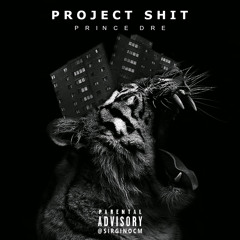 Prince Dre - Project Shit