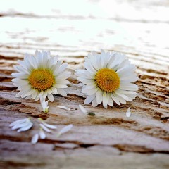 سامحيني حنان الشاب رزقي