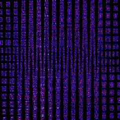 Common Magnetism