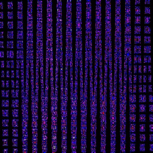 Common Magnetism