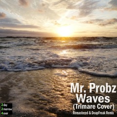Mr. Probz - Waves (Trimare Cover) [Remaster]