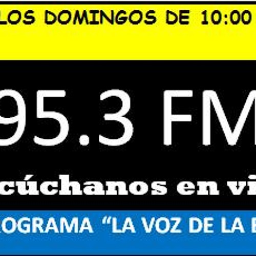 Stream Programa De Radio 29 - 06 - 15 by Sintraenba Barinas | Listen online  for free on SoundCloud