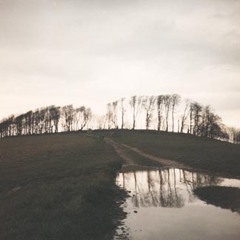 Chanctonbury Ring