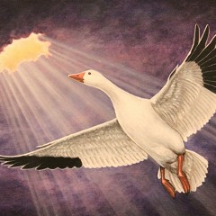 Let It Go Ft. Silas And BradleyAJ