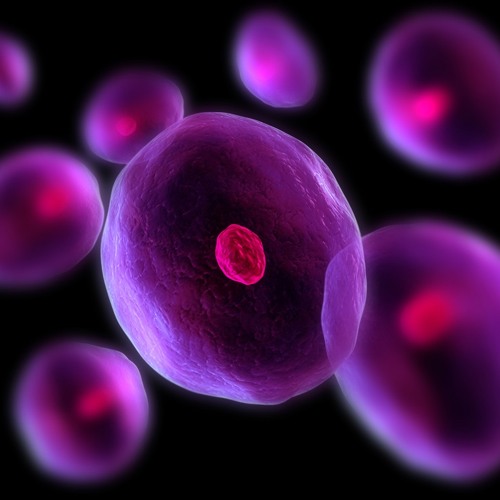 Osmosystem